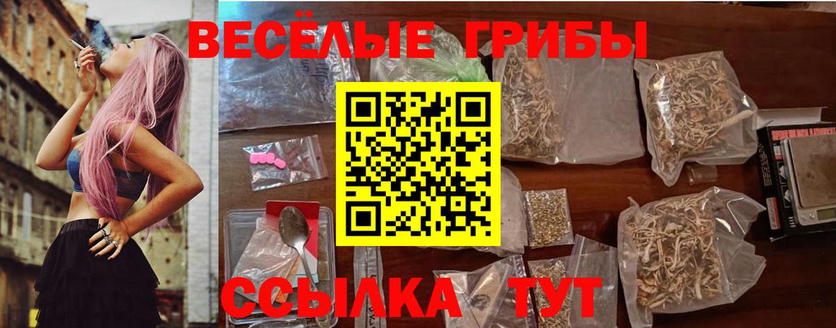 Псилоцибиновые грибы Magic Shrooms Энгельс